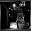 Reggio Emilia: piazza Prampolini sotto Natale